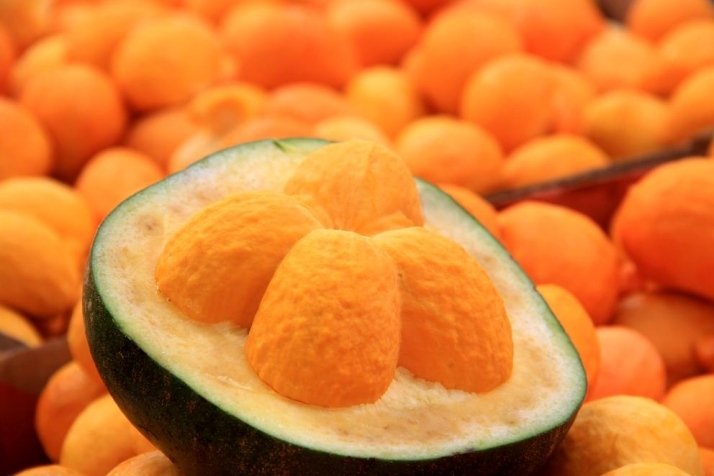 Produtos mineiros marcam presença na maior feira de alimentos e bebidas da América do Sul